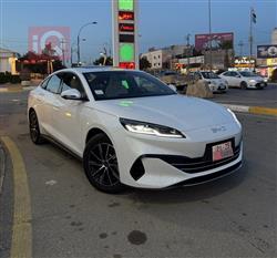 بي واي دي سيل 06 DM-i